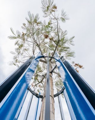 tour d'arbre