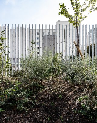 cloture chapelle charbon