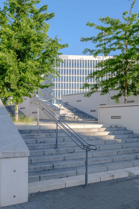 allée de corse