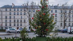 jardinières - bac d'orangerie