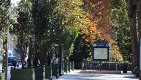 jardinières - bac d'orangerie sur mesure