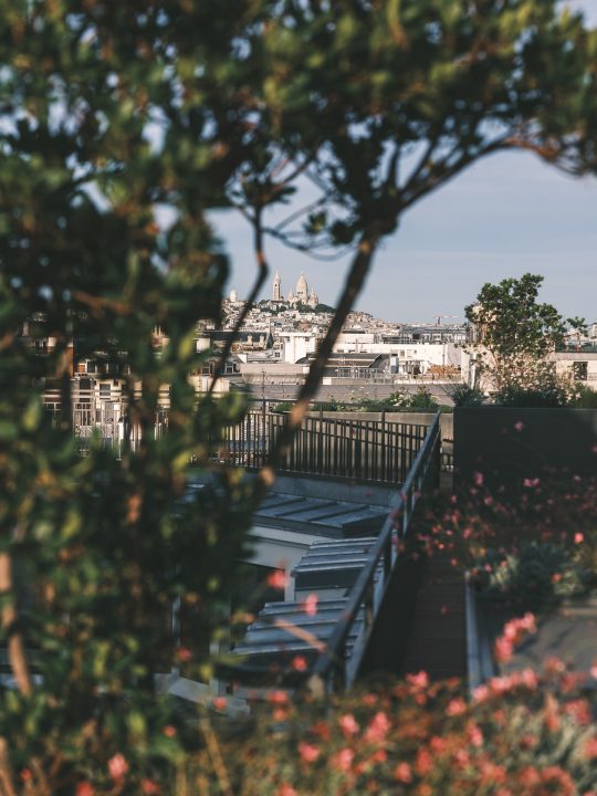 batiment avec vue et plantes