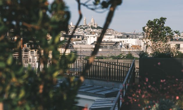 batiment avec vue et plantes