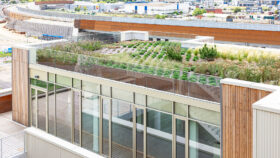 urbencea-les-jardins-de-gaia-rouen-amenagement-urbain-jardiniere-rooftop-toit-terrasse-vegetalise