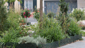 urbencea-quartier-de-la-gare-Clamart_-espaces-verts-lisse-basse