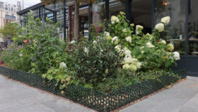 urbencea-quartier-de-la-gare-Clamart_lisse-basse-limite-espaces-verts