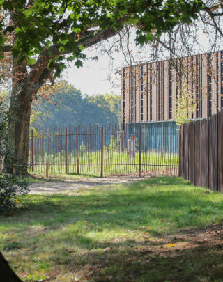 Urbencea-Réinventons-nos-espaces-de-vie-parc-de-la-roseraie-chatenay-malabry-cloture-promenade-automnale
