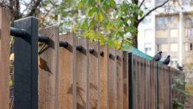 Urbencea_réinventons-nos-espaces-de-vie-lyon-la-sauvegarde-jardins-partages-pigeons-cloture