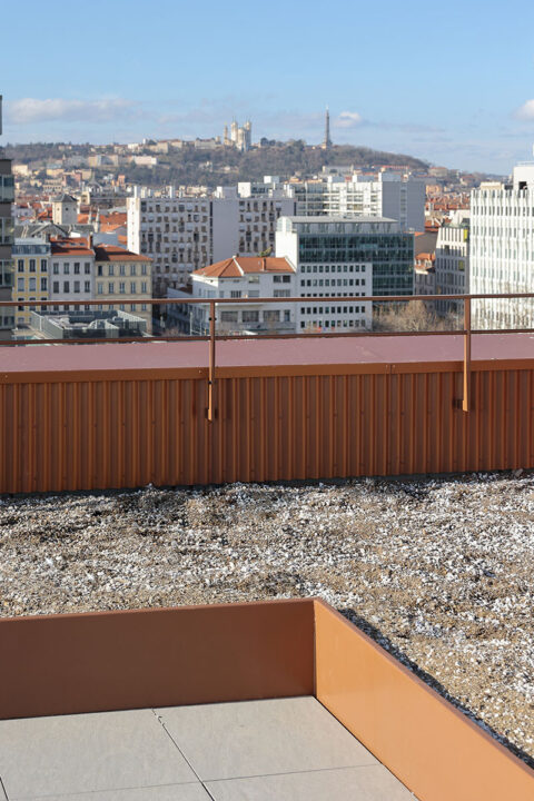 Urbencea-Réinventons-nos-espaces-de-vie-Lyon-vertuo-quartier-la-part-dieu-lyon-végétalisation-vue-fourviere-costieres
