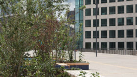 Urbencea-Réinventons-nos-espaces-de-vie-parvis-la-defense-hopen-Paris-costieres-végétalisation