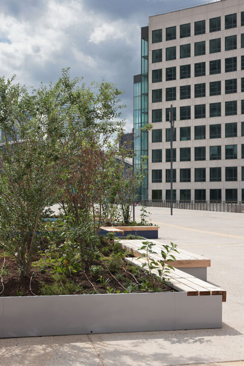 Urbencea-Réinventons-nos-espaces-de-vie-parvis-la-defense-hopen-Paris-costieres-végétalisation
