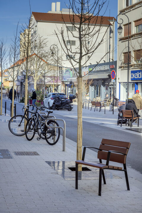 Urbencea-Réinventons-nos-espaces-de-vie-saint-maur-des-fosses-grilles-arbres