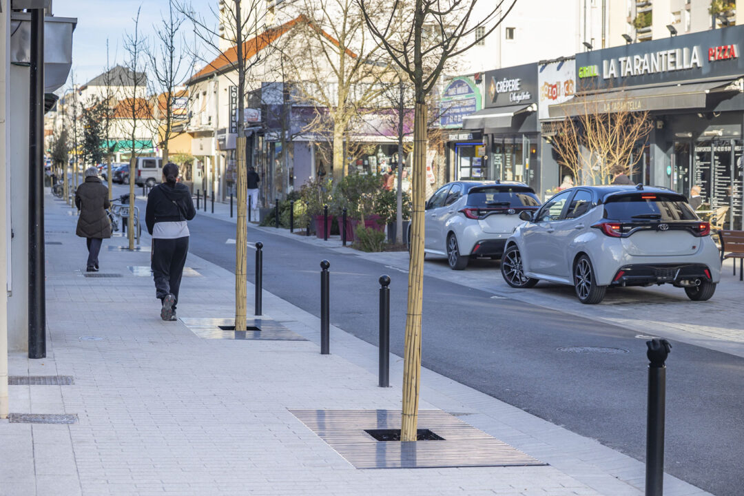 Urbencea-Réinventons-nos-espaces-de-vie-saint-maur-des-fosses-rue-baratte-cholet-amenagement-urbain-grilles-arbres-ouvrage-metallique