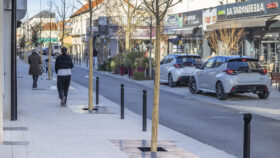 Urbencea-Réinventons-nos-espaces-de-vie-saint-maur-des-fosses-rue-baratte-cholet-amenagement-urbain-grilles-arbres-ouvrage-metallique