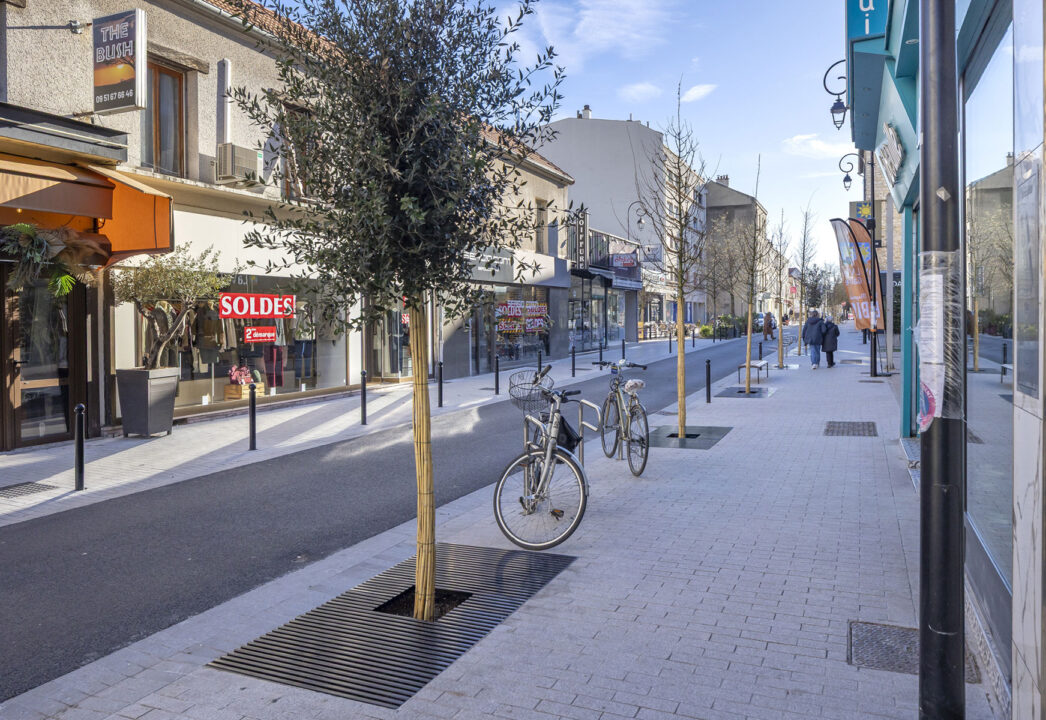 Urbencea-Réinventons-nos-espaces-de-vie-saint-maur-des-fosses-rue-baratte-cholet-grilles-arbres