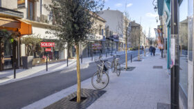 Urbencea-Réinventons-nos-espaces-de-vie-saint-maur-des-fosses-rue-baratte-cholet-grilles-arbres