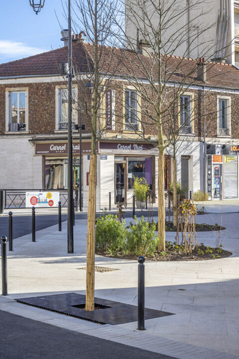 Urbencea-Réinventons-nos-espaces-de-vie-saint-maur-des-fosses-rue-baratte-cholet-grilles-arbres-voliges-amenagement-urbain-vegetalisation