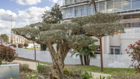 Urbencea-Réinventons-nos-espaces-de-vie-garge-les-gonesses-hotel-de-ville-design--identite-urbaine-cloture-vegetalisation