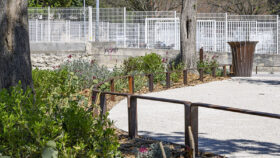 Urbencea-Réinventons-nos-espaces-de-vie-avenue-ventoux-lisse-basse-corten-végétalisation-protection-délimitation-espaces-verts--carpentras