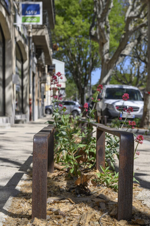 Urbencea-Réinventons-nos-espaces-de-vie-carpentras-avenue-ventoux-corrosion-lisse-basse-corten--protection-délimitation-espaces-verts