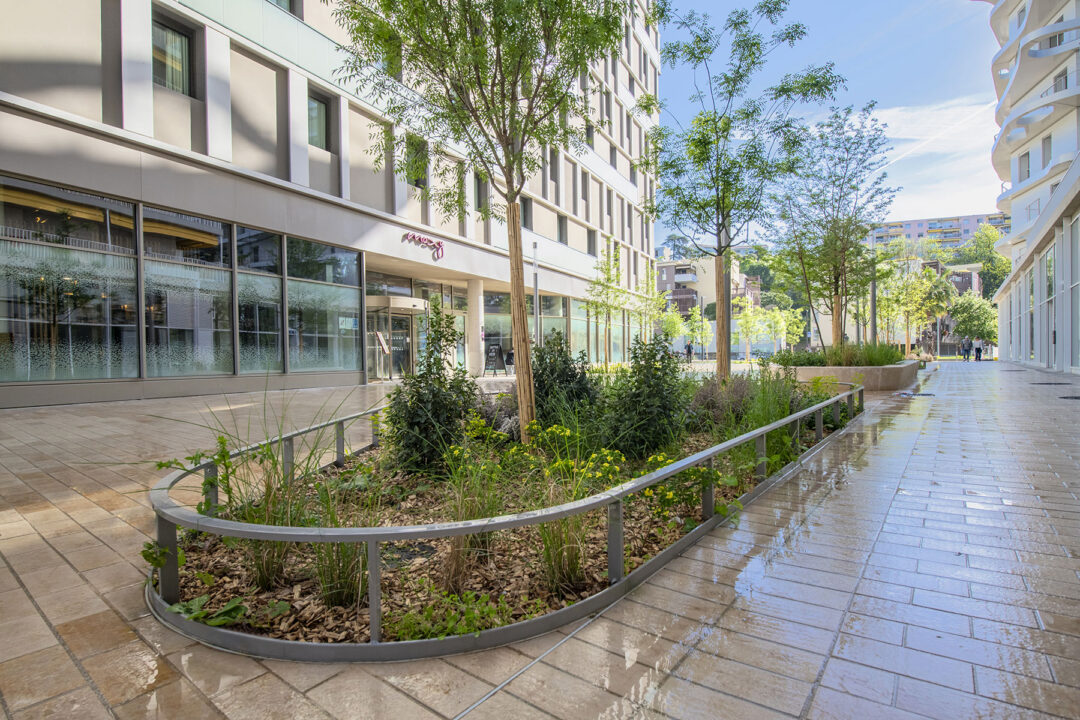 Urbencea-Réinventons-nos-espaces-de-vie-nice-avenue-meridia-lineaire-lisse-basse-protection-délimitation-espaces-verts