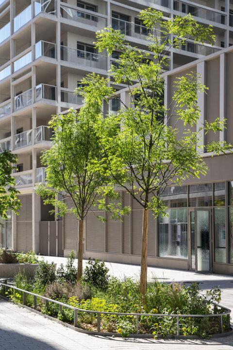 Urbencea-Réinventons-nos-espaces-de-vie-nice-meridia-lisse-basse-végétalisation