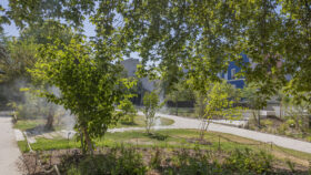 urbencea-reinventons-noes-espaces-de-vie-parc-schuman-montrouge-naturalisation-vegetalisation-espaces-publics