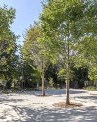 urbencea-reinventons-noes-espaces-de-vie-parc-schuman-montrouge-naturalisation-vegetalisation-espaces-publics-jardin-parc-ville