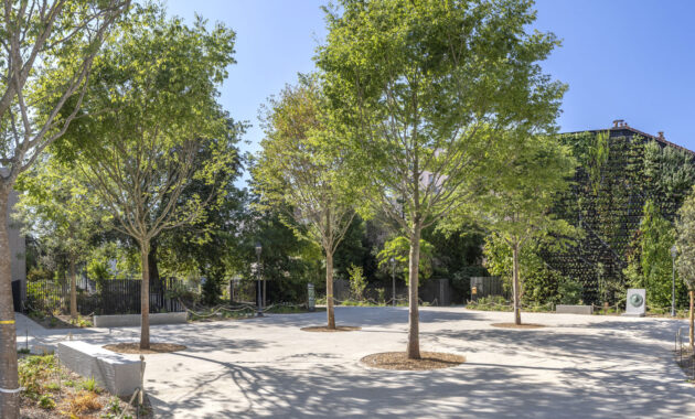 urbencea-reinventons-noes-espaces-de-vie-parc-schuman-montrouge-naturalisation-vegetalisation-espaces-publics-jardin-parc-ville